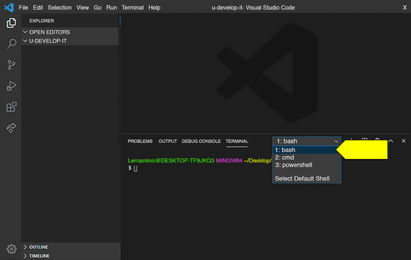 `bash` is highlighted in a drop-down menu in a terminal at the bottom of the VS Code screen.